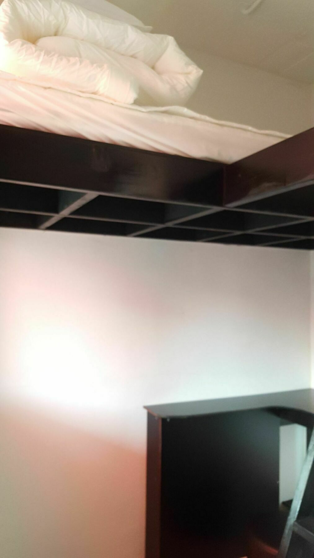 Amazon Guesthouse Seoul Eksteriør billede
