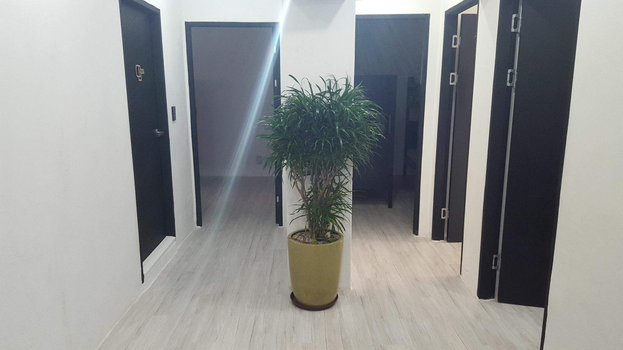 Amazon Guesthouse Seoul Eksteriør billede