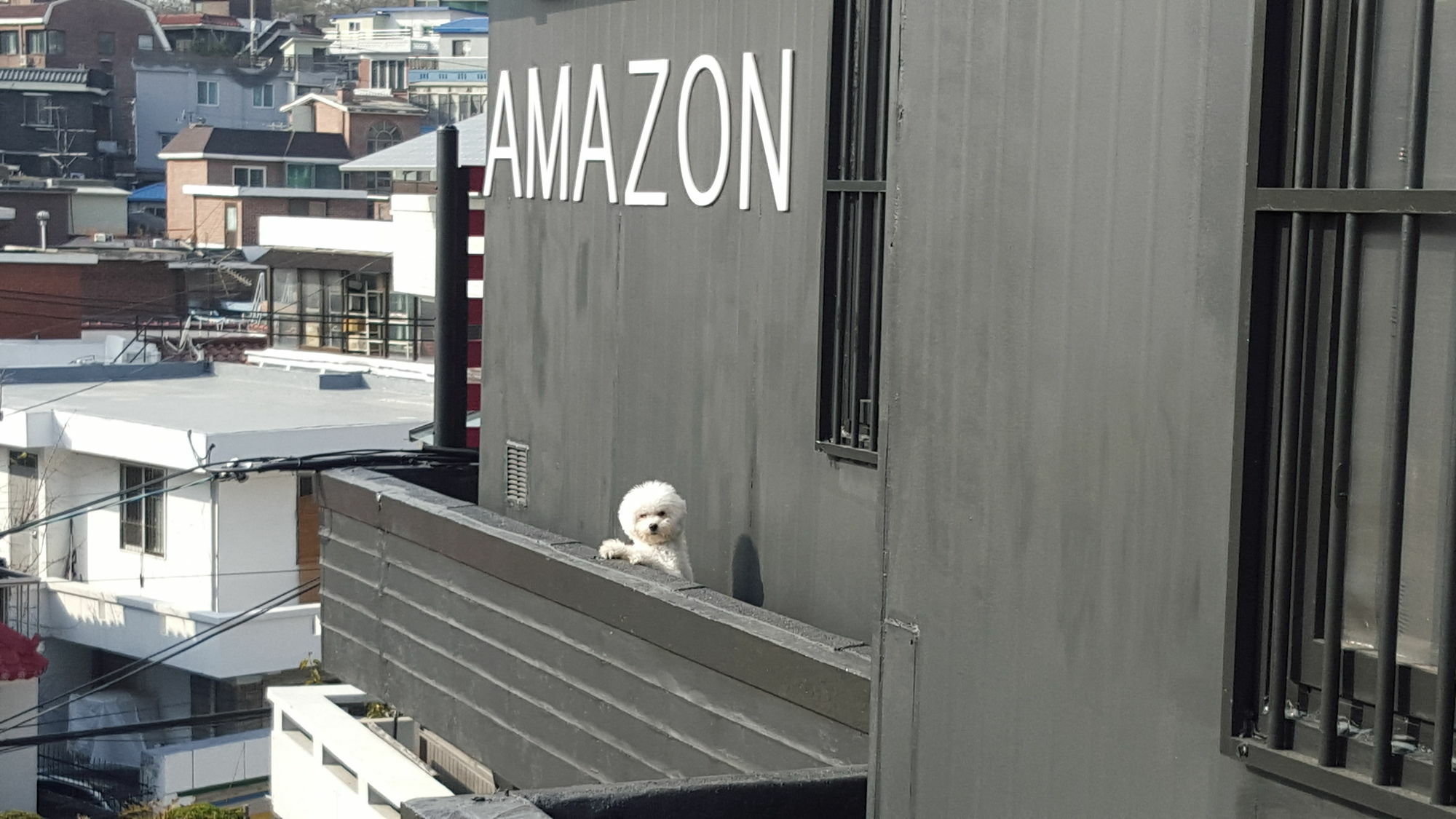 Amazon Guesthouse Seoul Eksteriør billede
